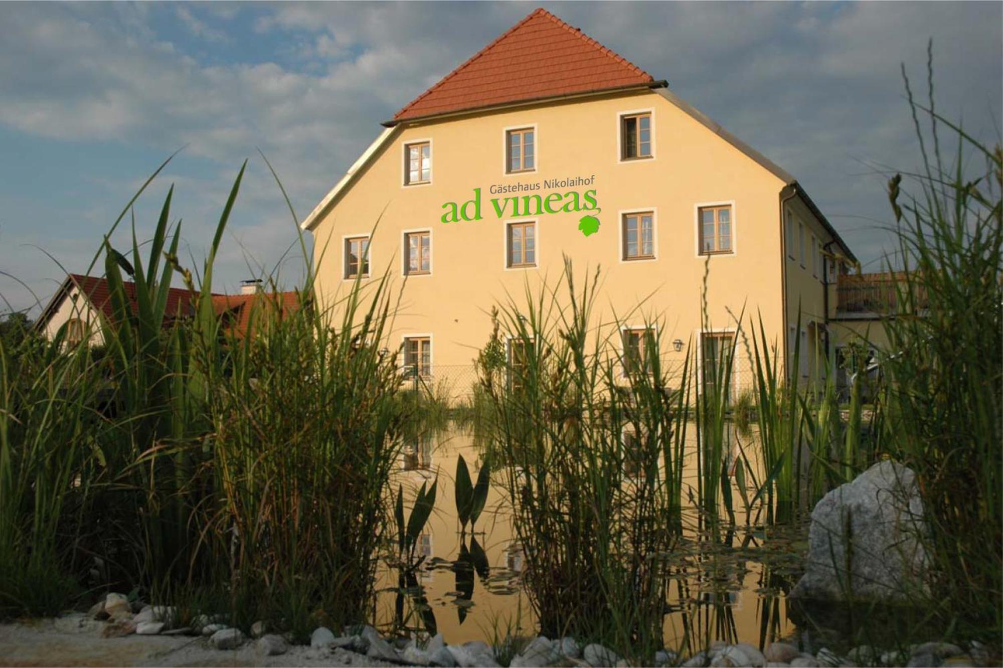 Ad Vineas Gaestehaus Nikolaihof-Hotel Garni Mautern Exterior foto